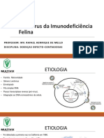 FIV-Vírus Da Imunodeficiência Felina: Professor: Mv. Rafael Henrique de Mello Disciplina: Doenças Infecto - Contagiosas