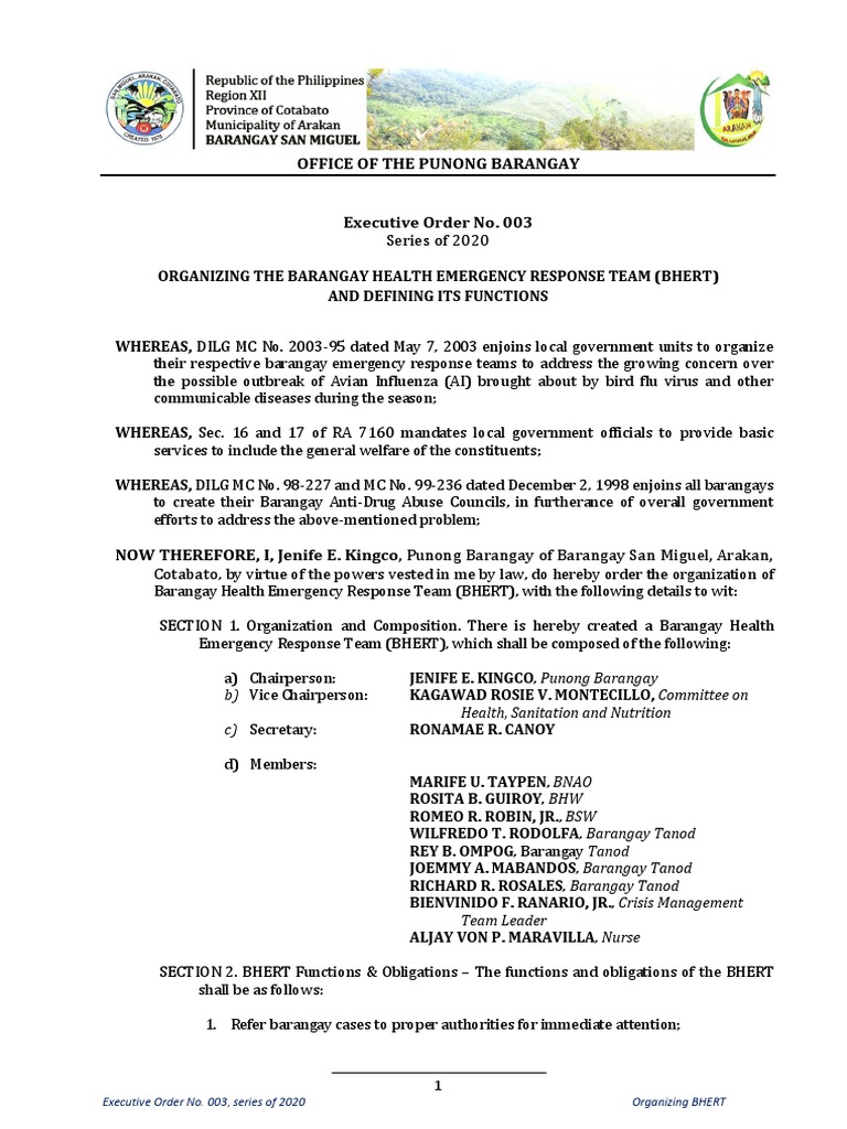 Organizing Barangay Health Emergency Team | PDF | Medical Specialties ...