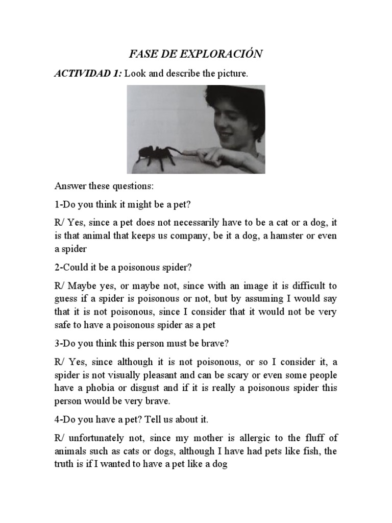 Fase de Exploración ACTIVIDAD 1 Look and Describe The Picture PDF