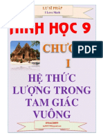 Chuyen de He Thuc Luong Trong Tam Giac Vuong Lu Si Phap