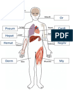 FR Medical Root Terms Body Answers