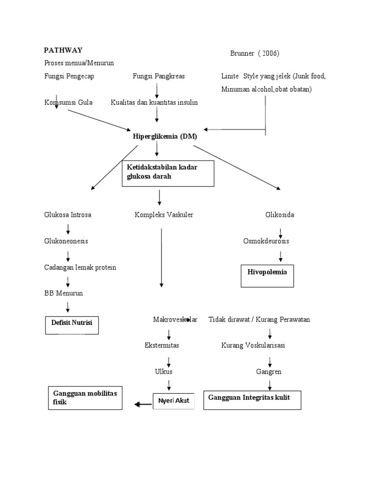 pathway-dm-tipe-2-pdf