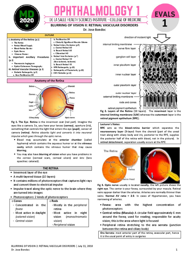 Retinal Vascular Disorders Overview | PDF | Retina | Visual System