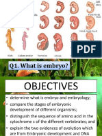 embryologyandDNA 2