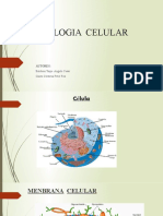 Fisiología celular: organelas y sus funciones