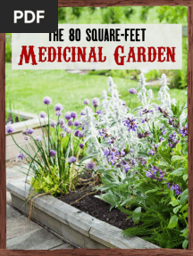 80 Square Feet SHTF Medicinal Garden