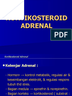 Kortikosteroid Adrenal the Newest