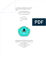 PDF Laporan Pendahuluan Pasien Stroke Infark