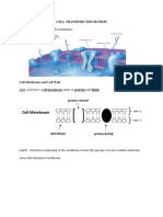 Cell Membrane Membrane: How Substances Get Across The Membrane