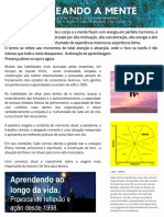 Hacking a Mente: Fluxo e Alto Desempenho para Lidar com o Estresse Pós-Covid