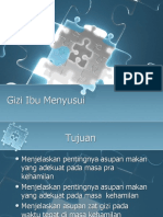 Gizi Ibu Hamil Dan Menyusui - FIKES