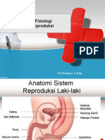 Anatomi Fisiologi Sistem Reproduksi: Sri Rahayu, S.Kep