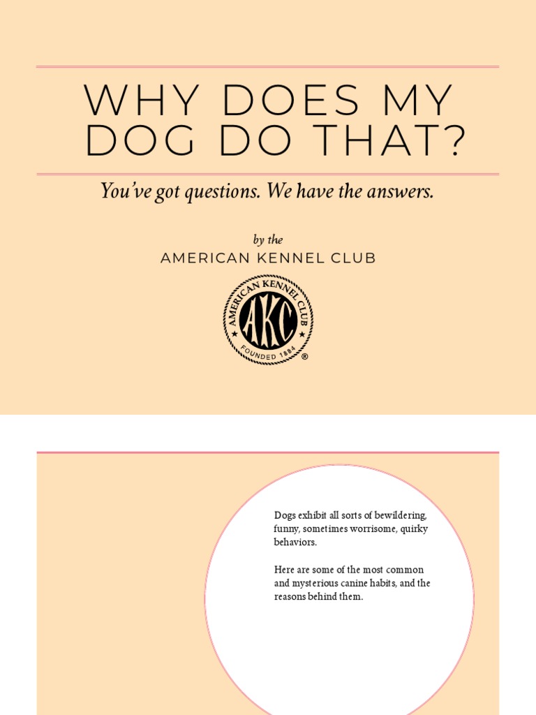 Why Does My Dog Do That? You've Got Questions. We Have The Answers