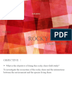 Rockyshore Report2021eng