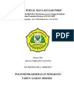 Resume Jurnal Mata Kuliah PMKP
