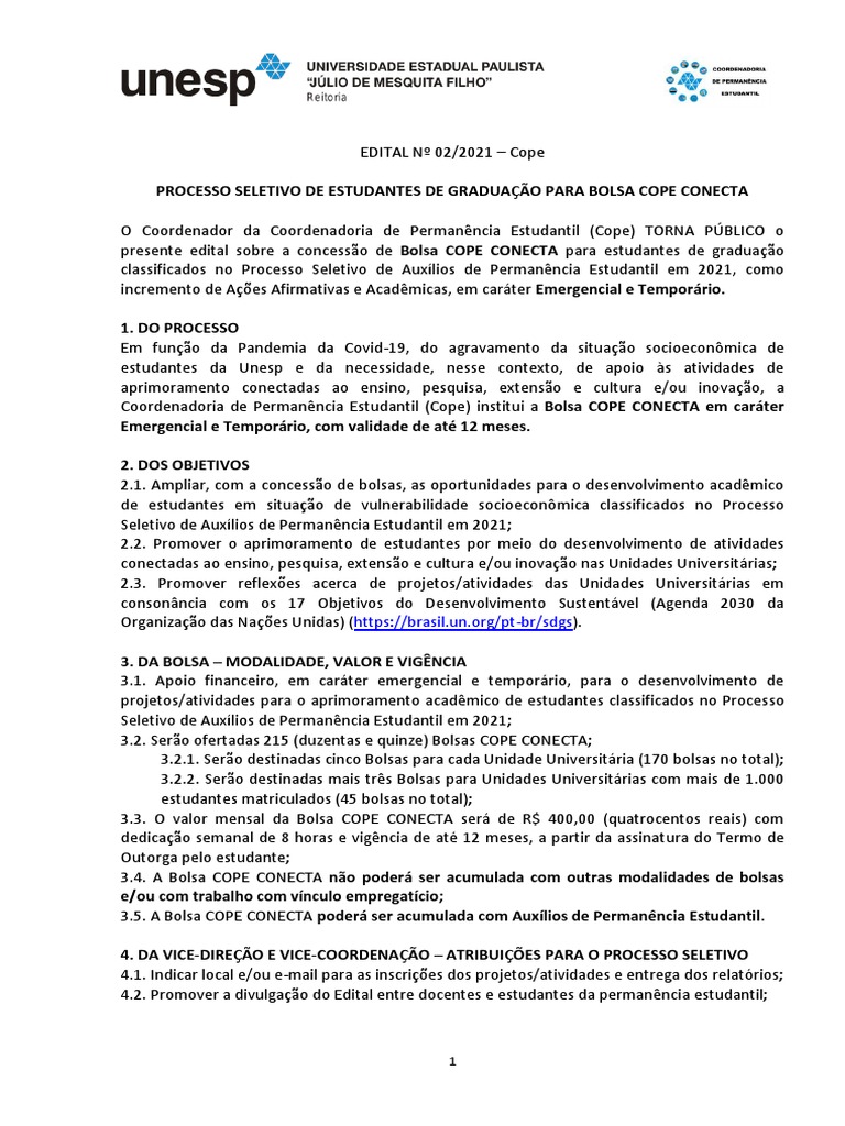 Processo Seletivo Bolsa COPE Conecta 2021 | PDF | Carreira e ...
