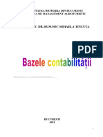Curs Contabilitate Sem 1 - Bazele Contabilitatii