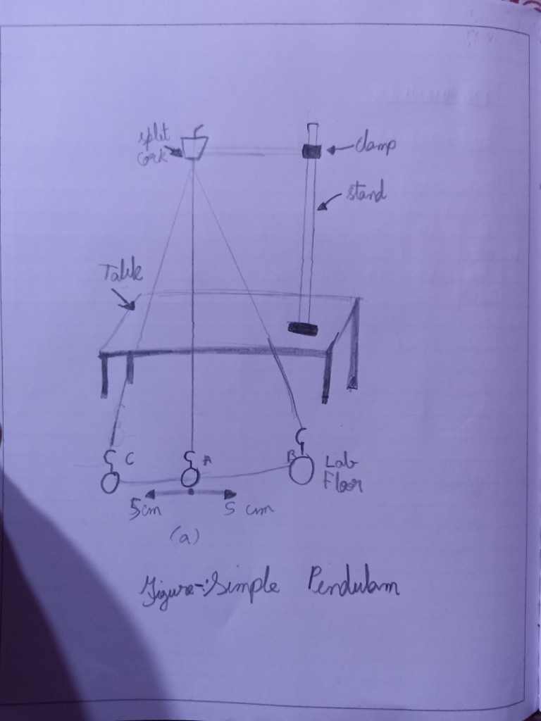 Simple Pendulum Experiment Class 11 With Olab Pdf