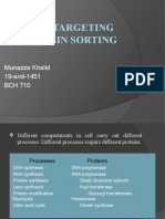 Protein Targeting or Protein Sorting: Munazza Khalid 19-Arid-1451 BCH 710