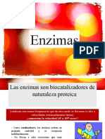 Enzimas: biocatalizadores proteicos