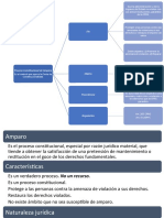 Control Judicial Constitucional de Los Actos Administrativos