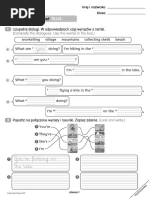 Unit 2 Test A Bugs Team 2 | PDF