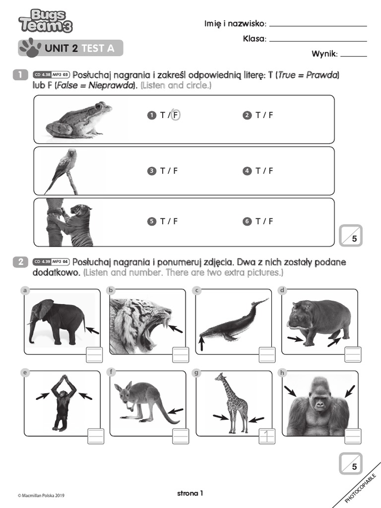 Test Diagnostyczny Angielski Klasa 3 Pdf