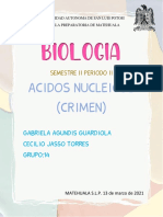 Acidos Nucleicos Crimen