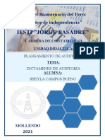 Dictamen de Auditoría