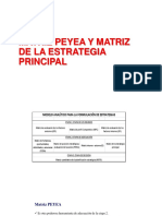 MATRIZ PEYEA-MGE (1)