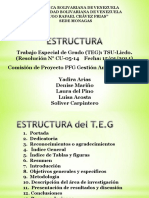 Estructura Del Trabajo Especial de Grado