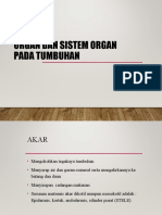 Organ Dan Sistem Organ Pada Tumbuhan