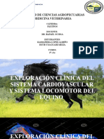 Exploración Clínica Del Sistema Cardiovascular y Locomotor en Equinos.