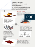 Infografía Sobre Los Mecanismos Constitucionales de Protección.