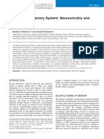 The Episodic Memory System: Neurocircuitry and Disorders: Review