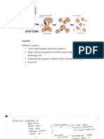 Apoptosis Dan Degenerasi Sel