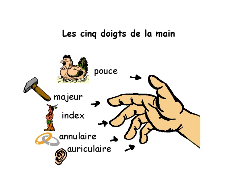 Comme Les Cinq Doigts De La Main Streaming Gratuit Les cinq doigts de la main