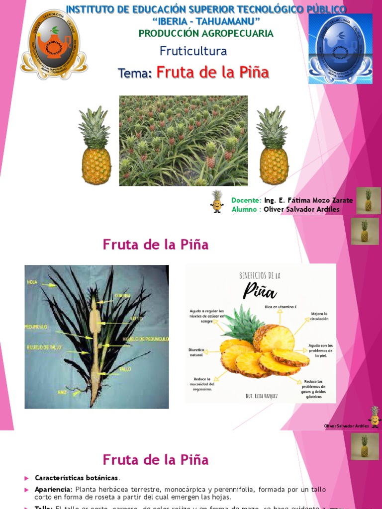 Exposicion de Fruta Piña | PDF | Piña | Fruta