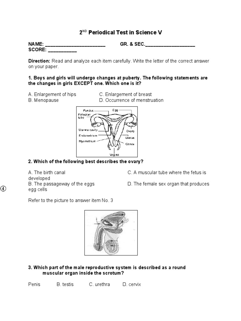 Grade 5 Science Test Pdf Flowers Sex Organ