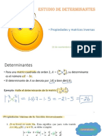 Estudio de determinantes y matrices inversas