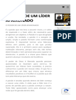 O Poder de Um Líder Apaixonado - Liderança de Sucesso-1