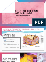 Assessment of The Skin Hair and Nails