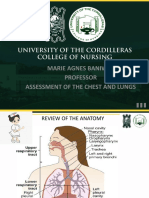 Assessment of Chest and Lungs