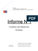 Informe N1 QA