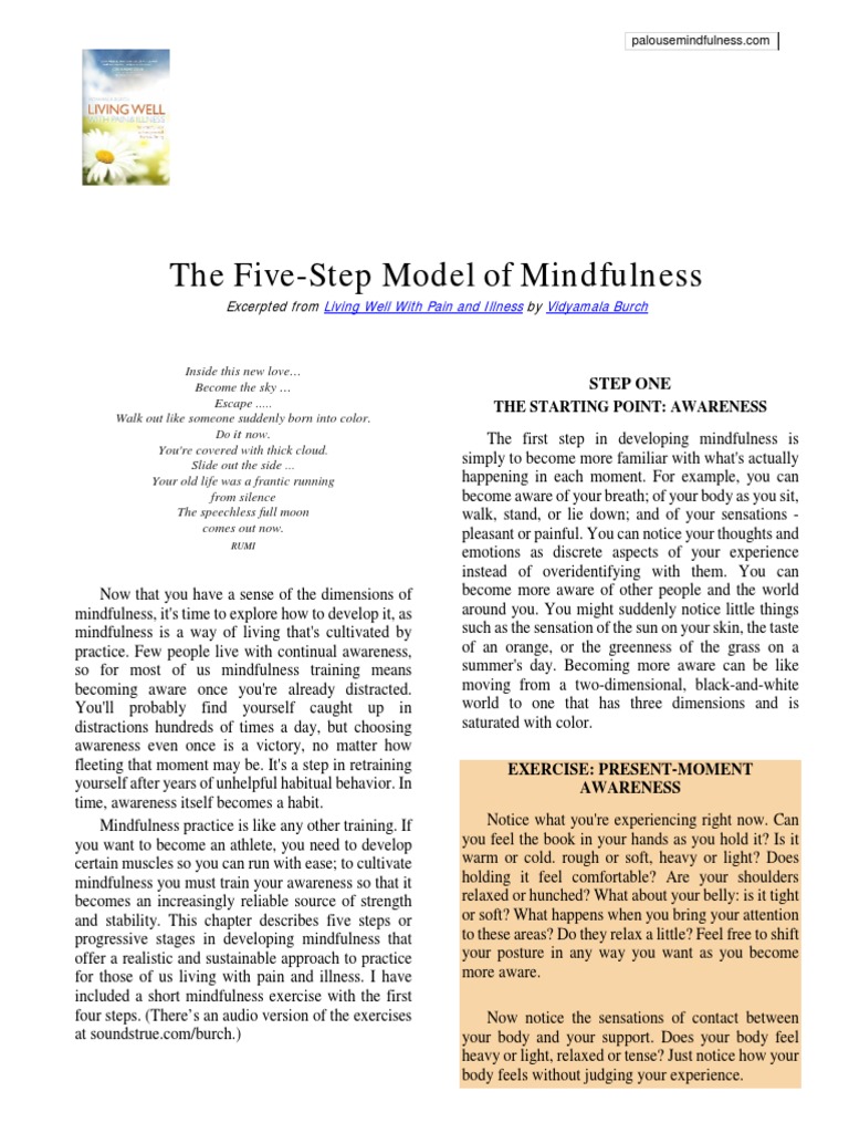 The Five-Step Model of Mindfulness: Excerpted From by | PDF ...