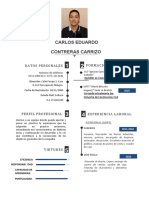 Curriculum Carlos Contreras