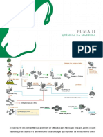 02-Química Da Madeira