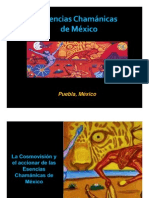 Esencias Chamanicas de México