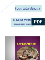 Leptospirosis 1