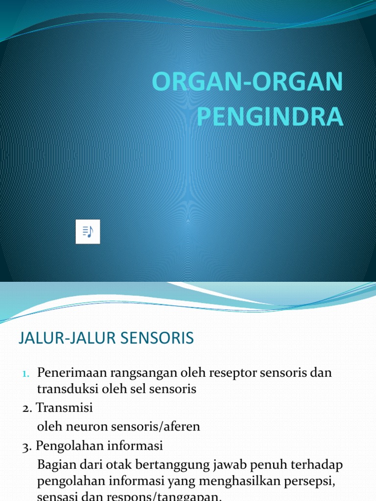 Organ Indra dan Reseptor Sensoris | PDF | Sains & Matematika